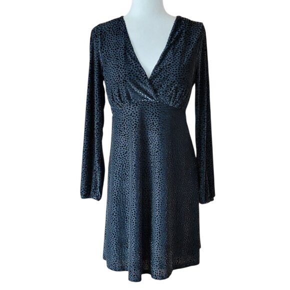 a new day Velvet Burnout Swiss Polka Dot Whimsigoth Fit and Flare Dress - Picture 2 of 9